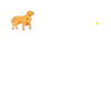 Dog Golden Retriever Dog Owner