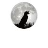 Dog Golden Retriever Dog Owner