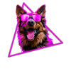 German Shepherd With Sunglasses