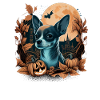 Chihuahua Costume d'Halloween - Citrouille