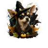 Chihuahua Costume d'Halloween - Citrouille