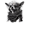 Chihuahua Costume d'Halloween - Citrouille