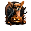 Chihuahua Costume d'Halloween - Citrouille