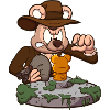 Teddy Bear Aventurier