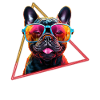 French Bulldog With Sunglasses