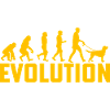 Labrador Evolution