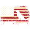 Labrador États-Unis