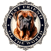 Meilleur ami Bullmastiff