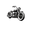Born to Ride white