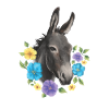 Âne et fleurs