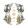 Moon phases