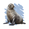 Realistic seal