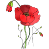 Blumen