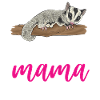 Short-headed glider Sugar Glider