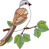 Oiseau