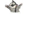 Short-headed glider Sugar Glider