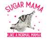 Short-headed glider Sugar Glider