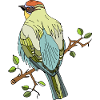 Oiseau