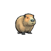 Vie Meilleure Capybara
