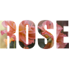 Rose - romantisches Design