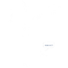 Ants