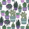 Cacti
