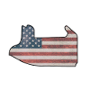 Las Vegas Racetrack with Flag