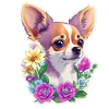 Chihuahua in pastel