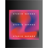 studio savage 3