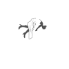 Under New Management