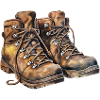 Hiking Shoes