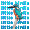 Martin-pêcheur - bel oiseau bleu - aquarelle