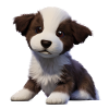 Dog Owner Australian Shepherd Puppy