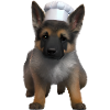 German Shepherd Puppy Dog Owner