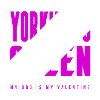 Yorkiepoo Queen