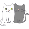 Cats Black & White