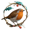 Robin Redbreast
