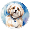 Maltese
