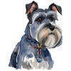 Schnauzer