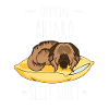Official Briard Sleep Shirt