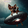 steeny chihuahua ovni