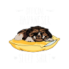 Official Havanser Sleep Shirt