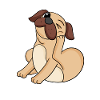 Mops Hunderasse Hund Hunde