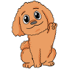 Poodle Dog Breed Dog Dogs