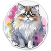 Persian cat
