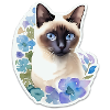 Siamese cat