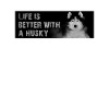 Husky sibérien