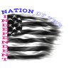 4 July USA Flag