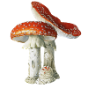 Amanita Muscaria Family