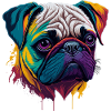 pug